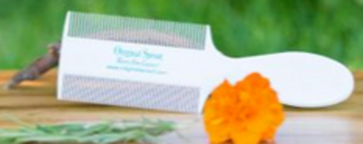 Original Sprout White Cradle Cap Comb- 6 pack